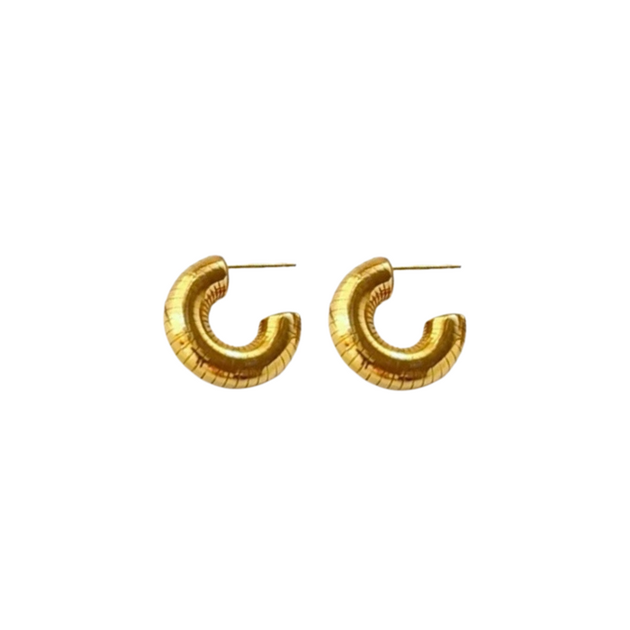 Gold Hoop Earrings