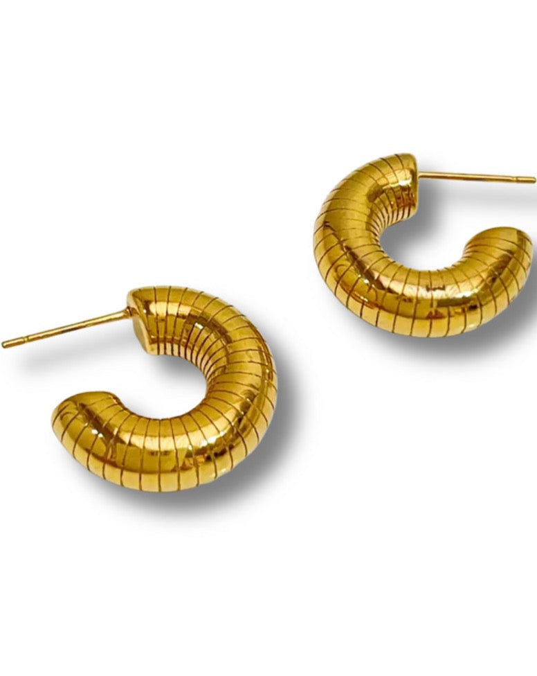Gold Hoop Earrings